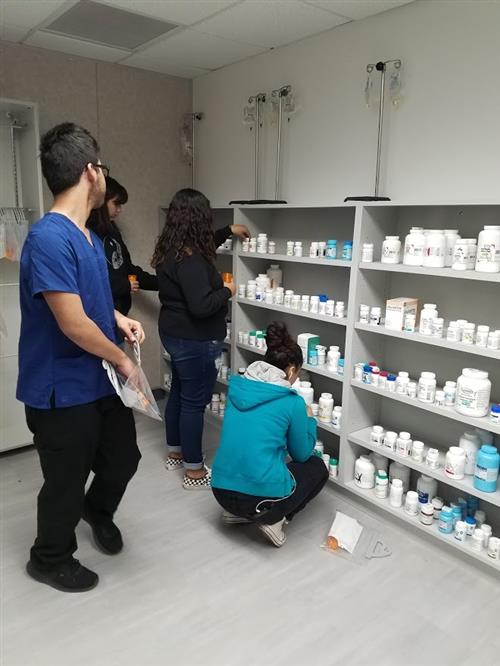 Pharmacy Pic 3 